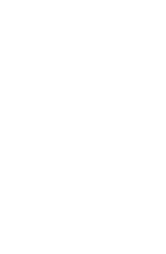 DV1