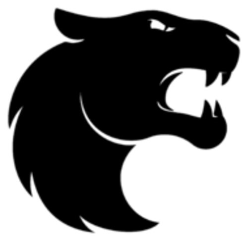 FURIA Esports