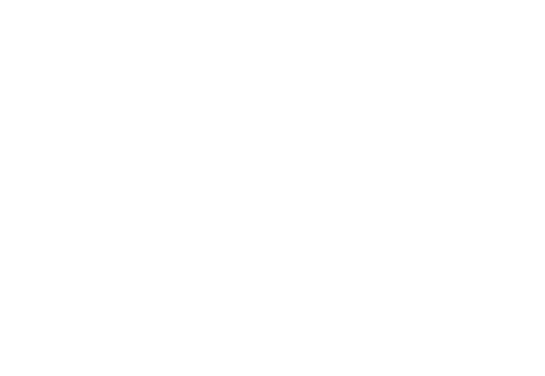 Z10