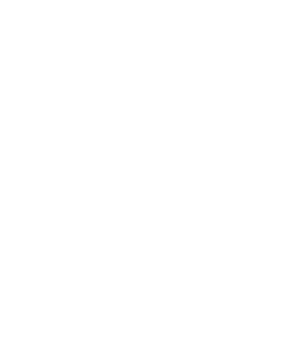 BRUTE