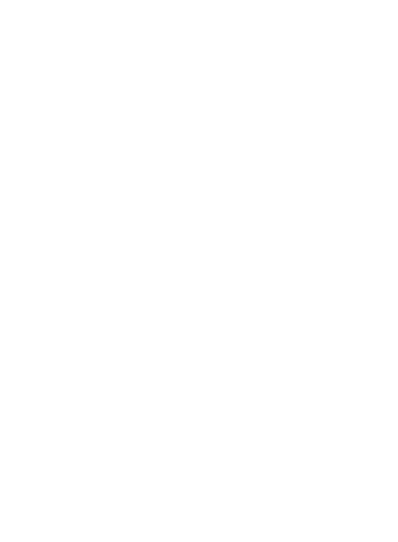 Zerolag Esports