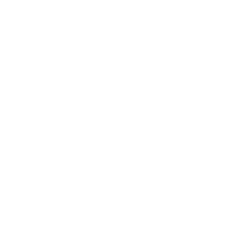 ALLINNERS