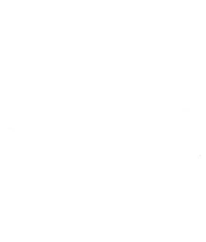 Partizan Sangal