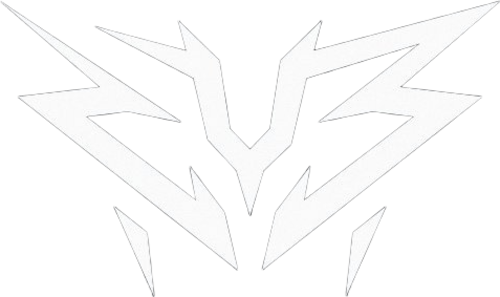 ZYB