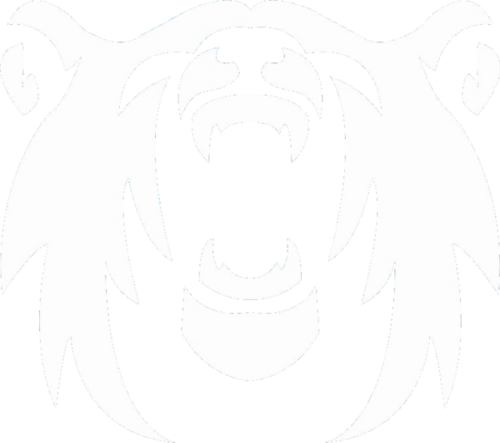 Polar Squad Esports