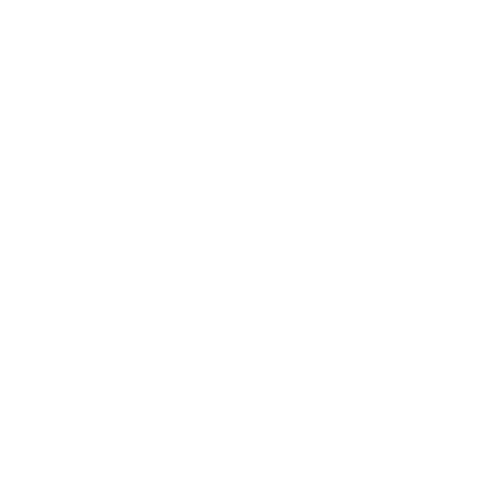 TS