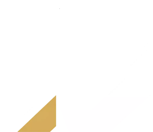 Disruptors 롤 팀 로고