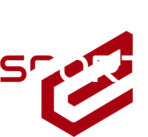 FIN E-SPORT
