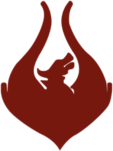 Team Phoenix