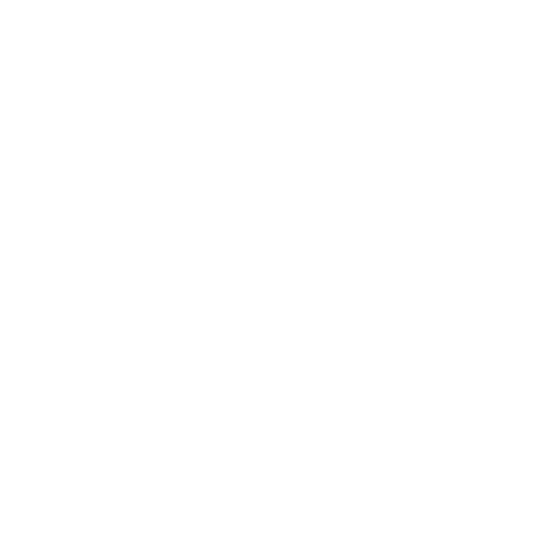 Team Synapse