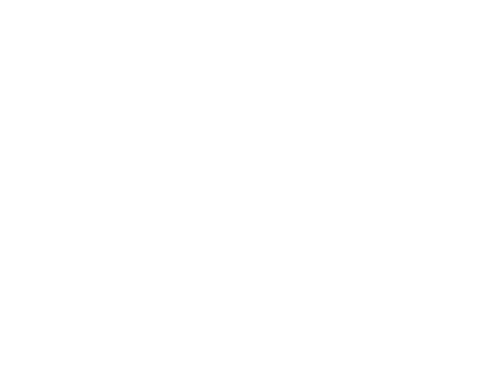 zxcursed Team