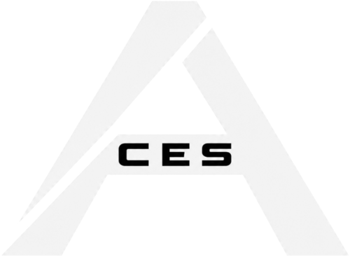 Team ACES