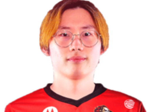 Dragonminkim