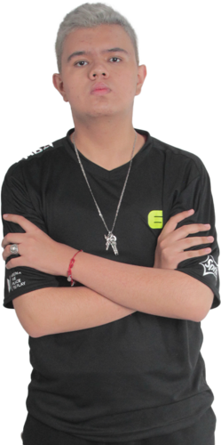 SkMzY