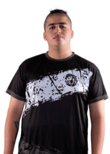 Perro