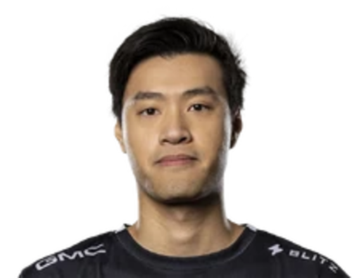WildTurtle
