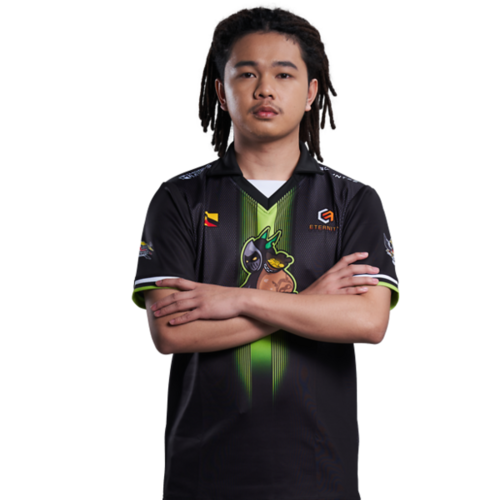 XBOCT photo