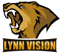 Lynn Vision