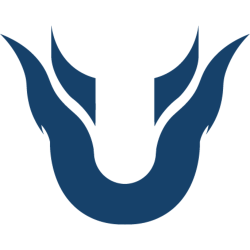 Team Unique