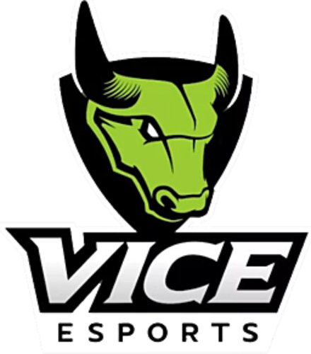 Vice Esports