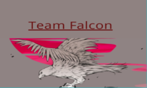 Team Falcon