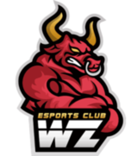 WanZhen Esports Club