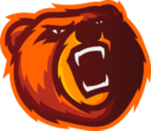 Bears Concept