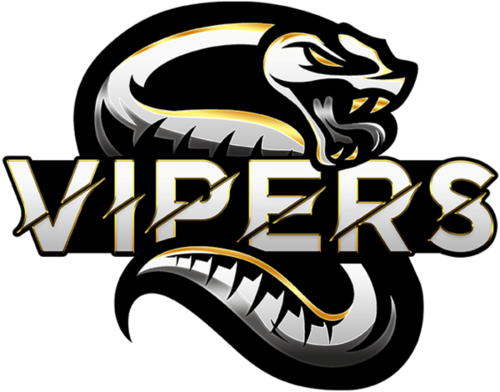 Vipers Esports