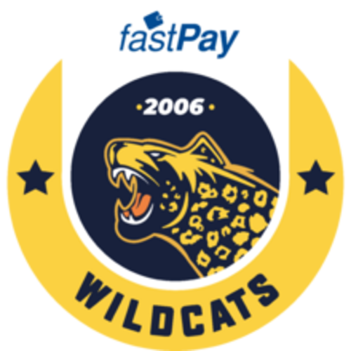 Istanbul Wildcats Academy logotipas