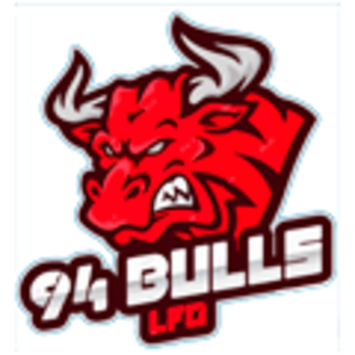 94 Bulls logo