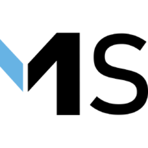 MS Company logotipas