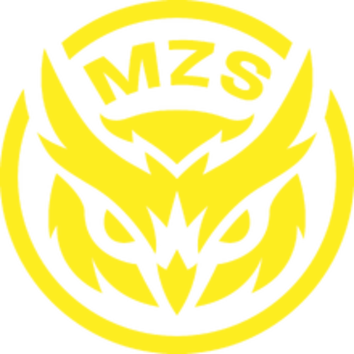 Mezexis Esports