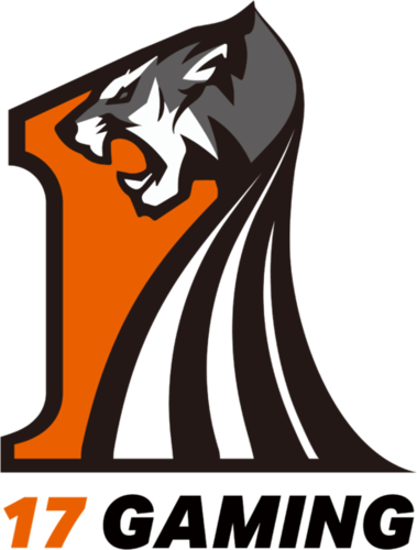 17 Gaming logo