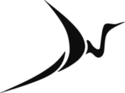 Black Sarus Sports