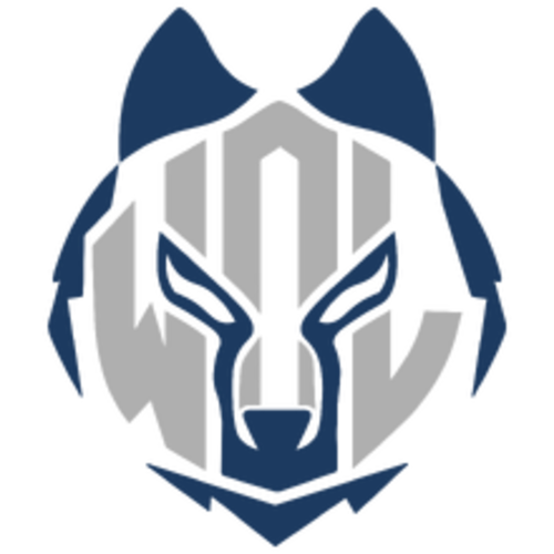 eWolves Brazil – LoL, composition et informations.