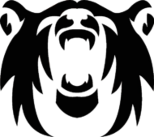 Polar Squad Esports GC