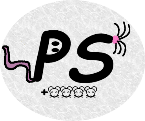 PIPS+4