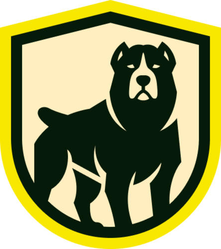 SoloTeam logo