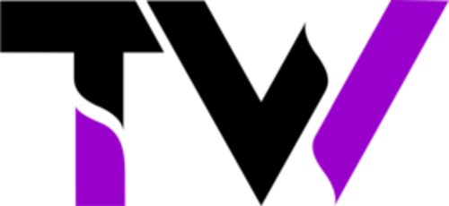 Logo team - Time Waves