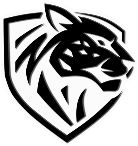 Logo team - Ilbirs eSports