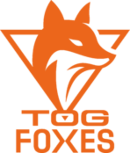 Team Orange Gaming