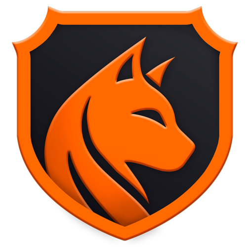 Logo team -Team Vasilisa