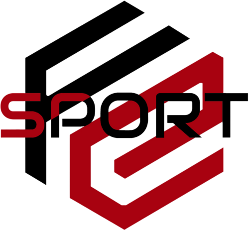 FIN E-SPORT 로고