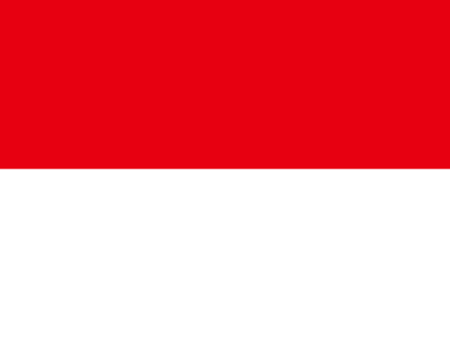 Indonesia 队标