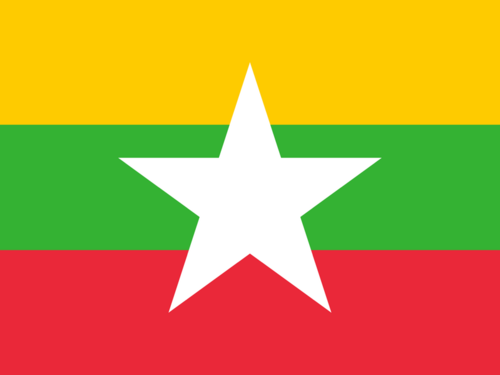 Myanmar 队标