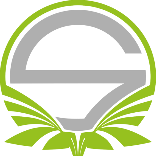 Team Singularity
