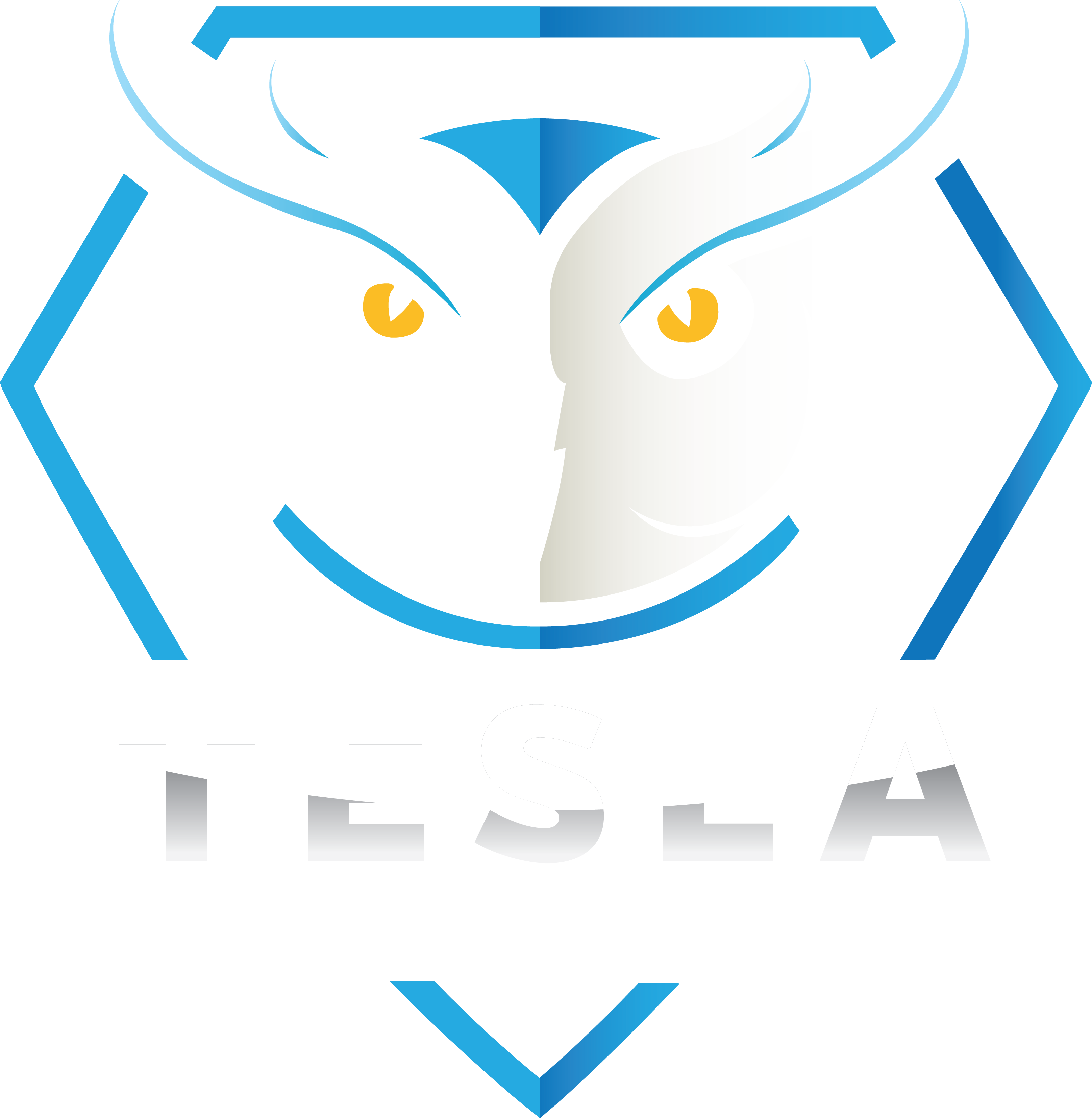 TSE