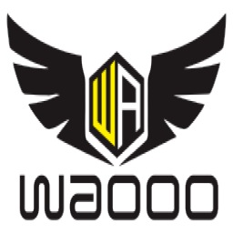 Team Waooo