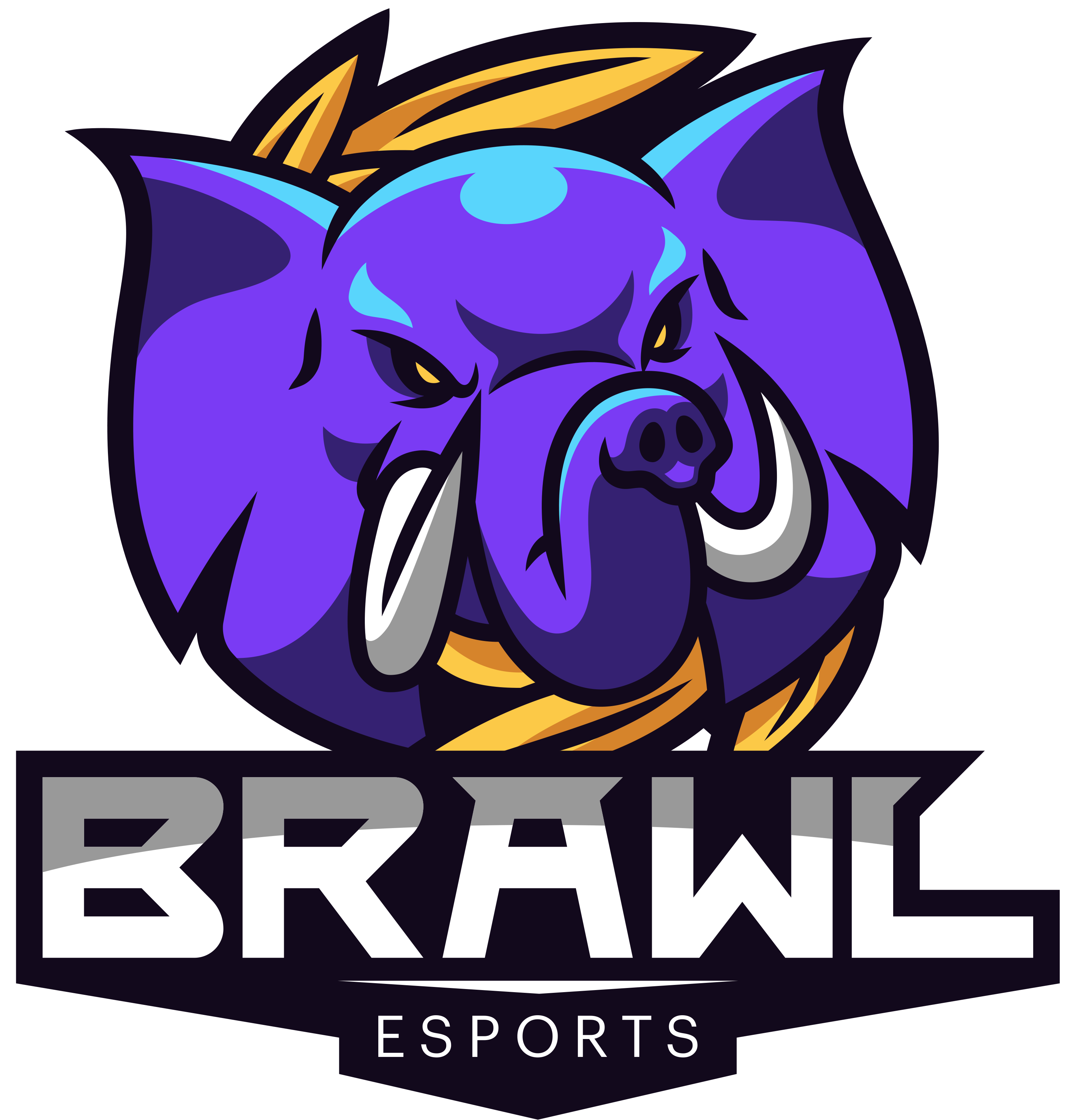 BrawL eSports – LoL, composition et informations.